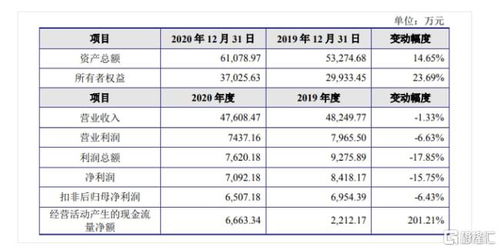 金智教育科創板IPO 聚焦高等教育信息化，2020年營收達4.7億元，軟件開發為核心引擎
