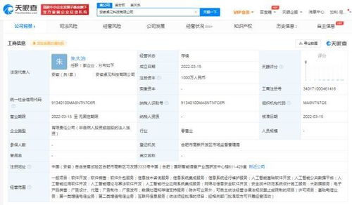 科大訊飛拓展業(yè)務(wù)版圖，安徽新設(shè)兩家軟件開發(fā)公司